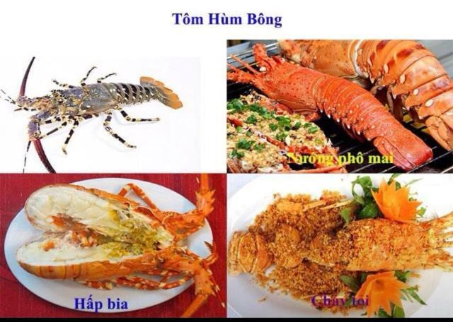 Khach San Thu Linh Hotell Thanh Hóa Eksteriør bilde