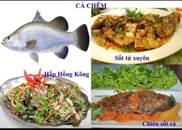 Khach San Thu Linh Hotell Thanh Hóa Eksteriør bilde