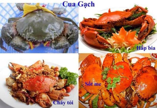 Khach San Thu Linh Hotell Thanh Hóa Eksteriør bilde