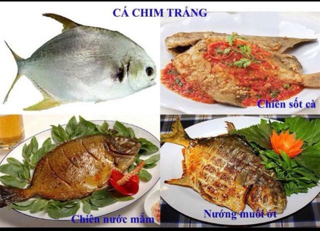 Khach San Thu Linh Hotell Thanh Hóa Eksteriør bilde
